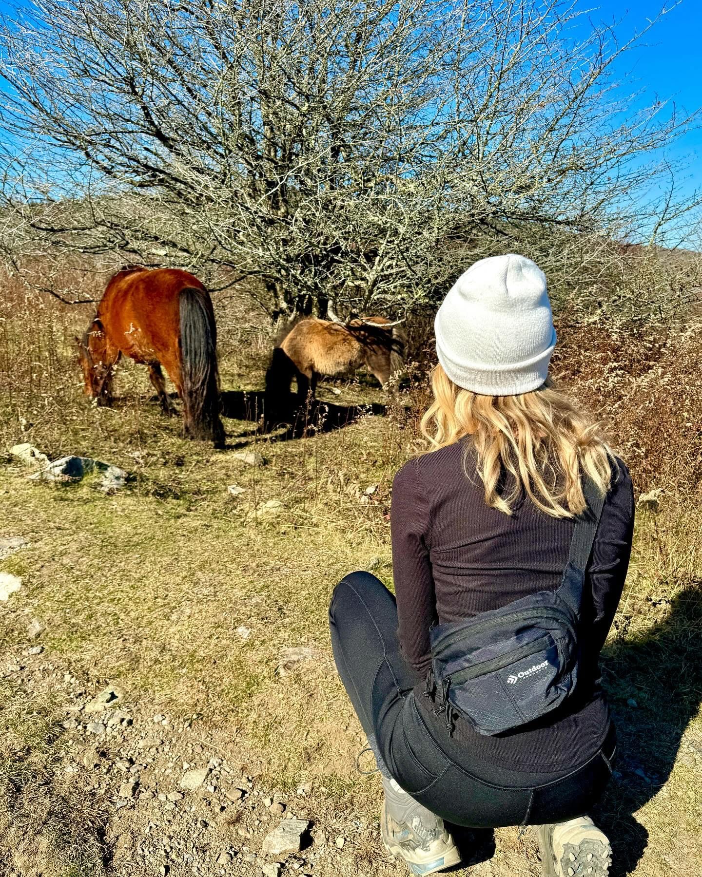 Nicole watching wild ponies at Grayson Highlands